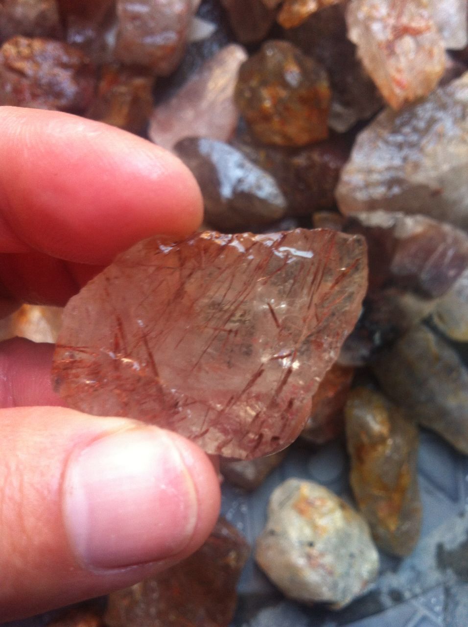 Stones from Uruguay - Rough Red Rutilated Quartz for Cabochon and Faceting