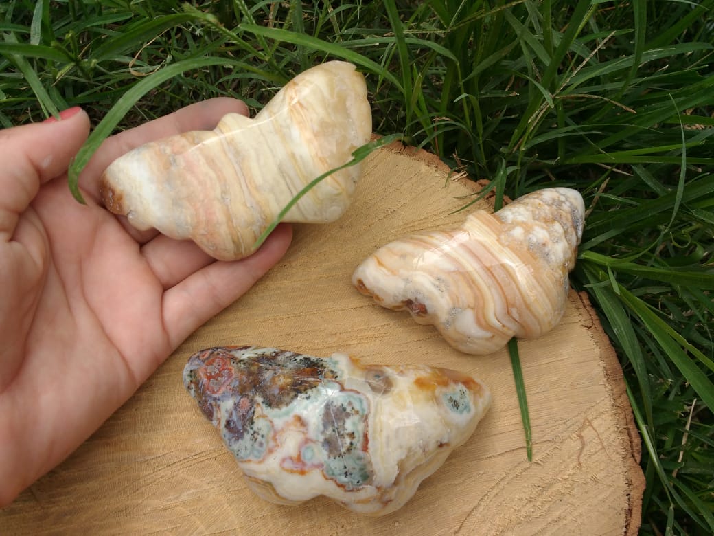 Stones from Uruguay - Pampa Cream Jasper Butterflies III for Home and Decoration(convex top)
