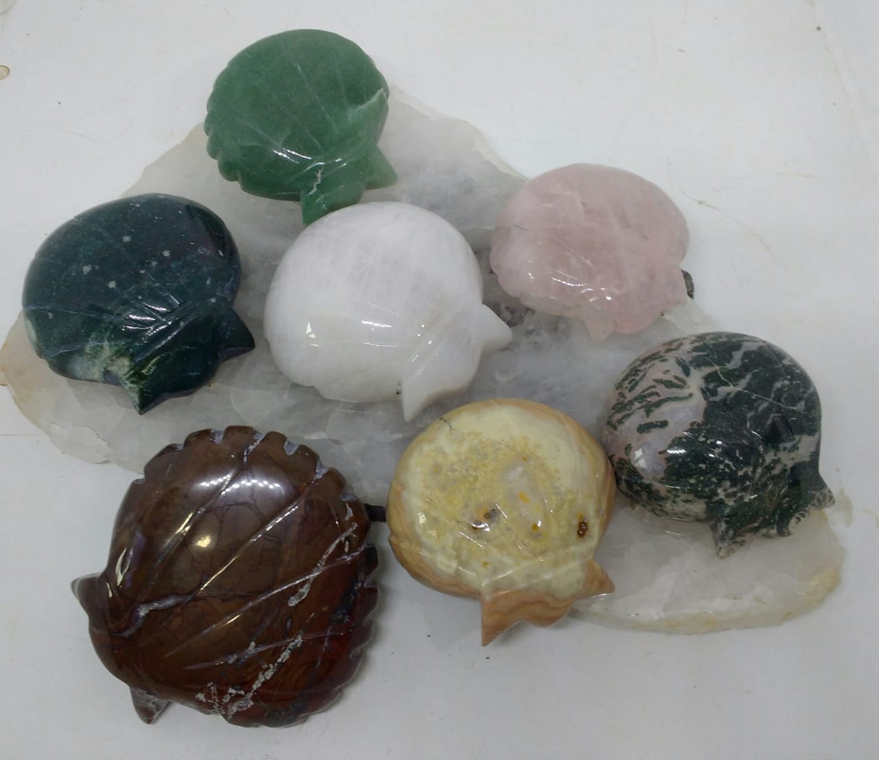 Stones from Uruguay - Gemstone Shell Shapes for Decoration, Gift and Metaphysical